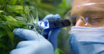 Cannabis, CBD & Hemp Testing Laboratory Importance in the Current Industry Logo